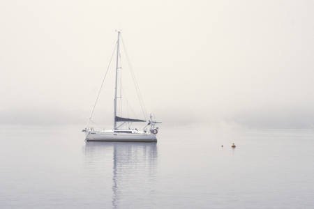 In The Mist