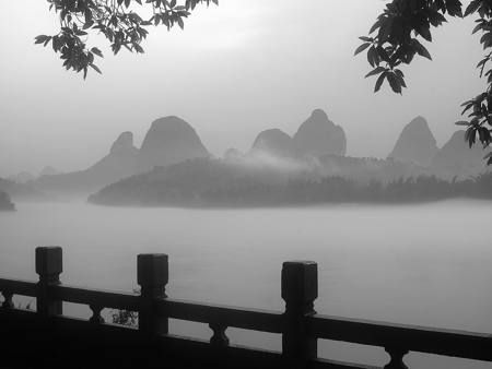 Misty Morning