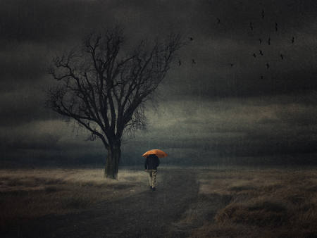Cold Wet Day