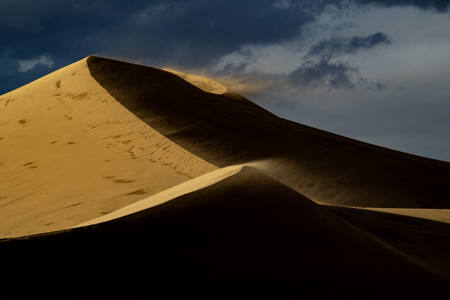 Desert Scenery29