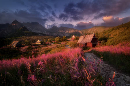 Morning In The Tatras