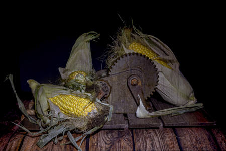 Corn And Gears