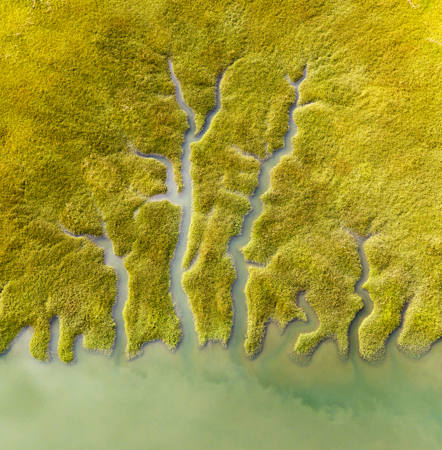 The Lands Capillaries