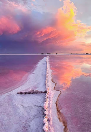 Salty Fence Line Lake Tyrell