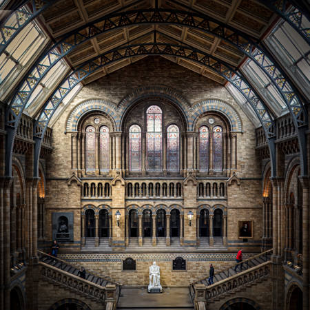 Darwin's Throne