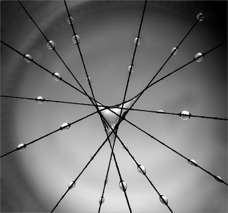 Drawn To The Centre