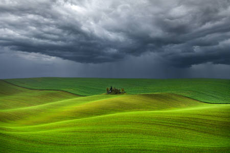 A Storm In The Field