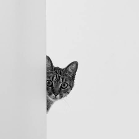 Uncertainty