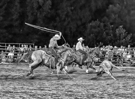 Team Roping 51