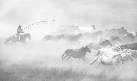 Bringing The Herd Home
