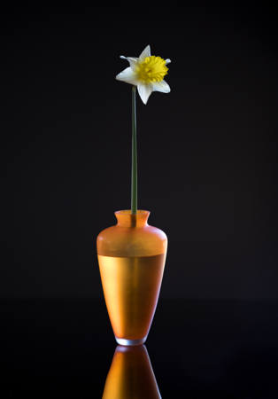 Orange Vase And Daffodil