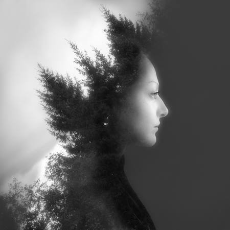 Rooted In Silence