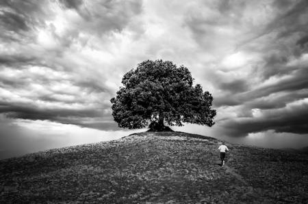 Reaching The Summit