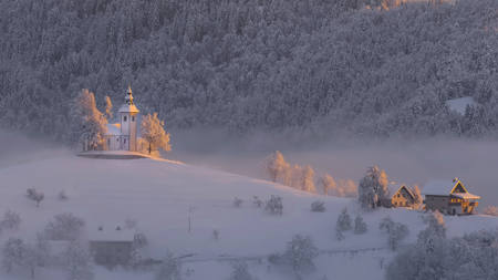 WINTER DAY