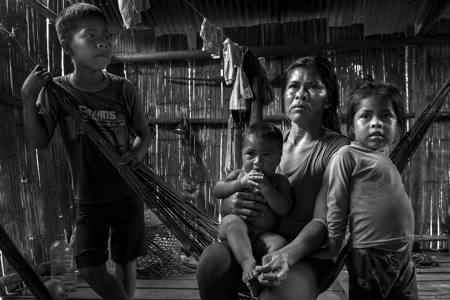 Waorani Tribe29