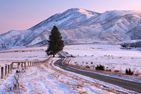 St Bathans Lone Tree Snowy Dawn
