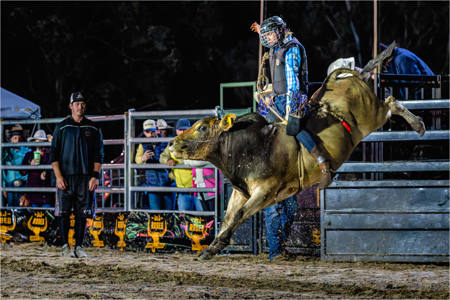 Bullriding At J&J Rodeo