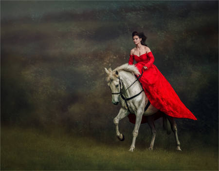 Elegance In Red