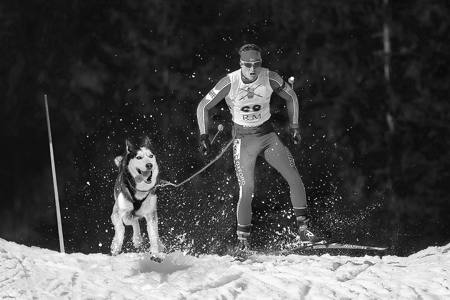 Skijoring 68