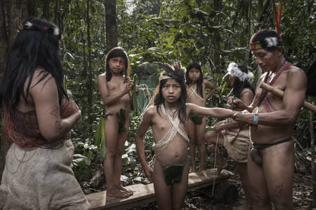 Waorani Tribe48