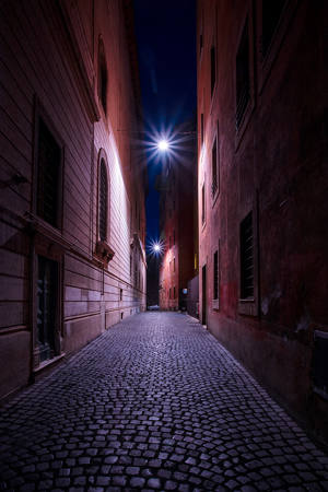 No Alley Cats