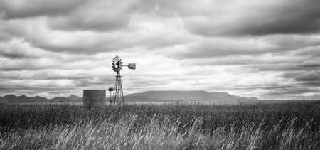 Sentinels Of The Land