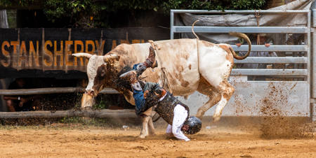 Hard Fall