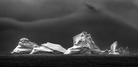 Antarctic Sentinels
