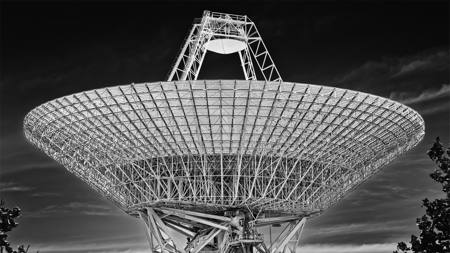 The Dish