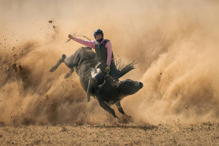 Bull Rider Eight