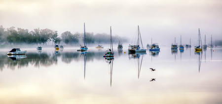 Morning Mist