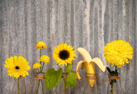 Fruit And Flowers