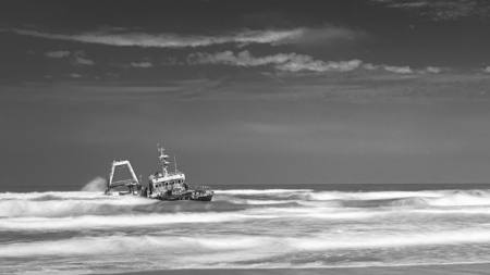 Skeleton Coast Survivor