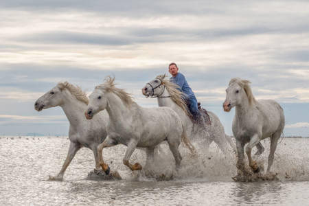 Water Run