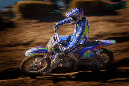 Blue-Rider
