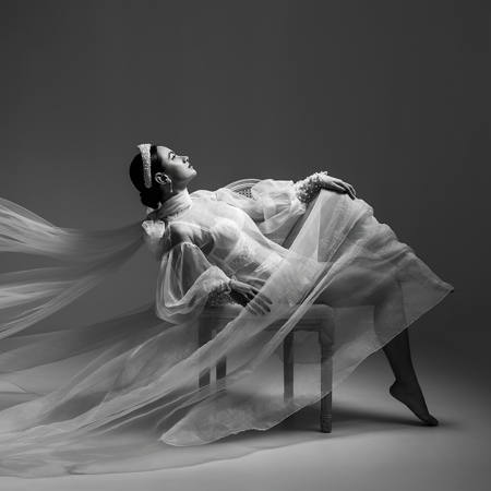 Veil Of Stillness