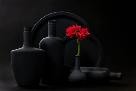 RED GERBERA_9M2A8741
