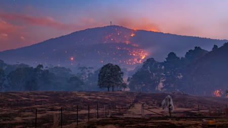 Bushfire Twilight