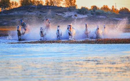 Galloping Horses On The River3