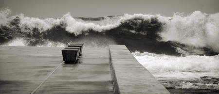 Wild Seas