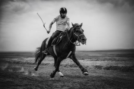 Trotting Horse