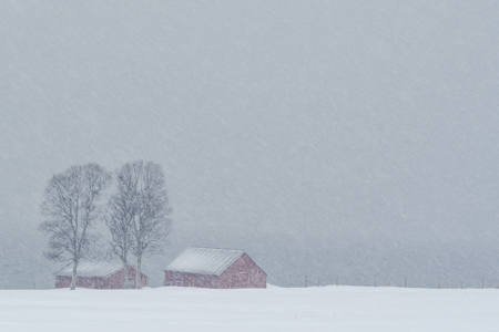 Snowy Lonely Barns