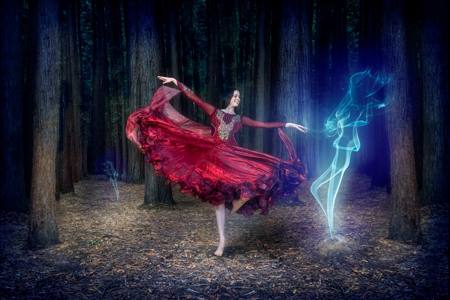 Dancing With The Forest