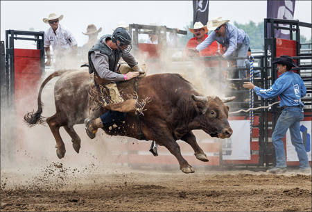 Bull Rider 98