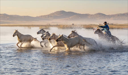 Horses In Water 29
