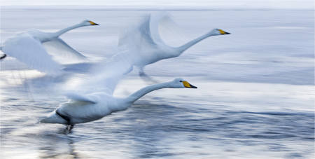 The Take Off