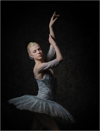 The Geometry Of Elegance
