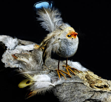 Feathers
