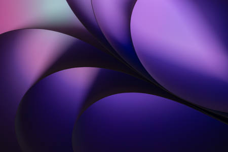 Petals Of Violet