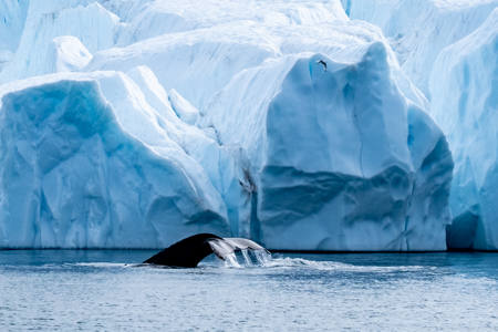 Greenland